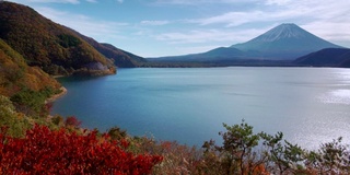 富士山与树前景，本须子湖，日本