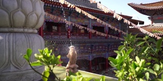 中国西宁佛寺的喷泉鱼雕像
