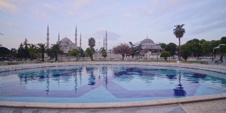 蓝色清真寺的风景，鸟在飞翔，伊斯坦布尔，土耳其，在黄昏