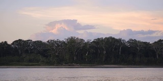 亚马逊河在日落时穿过秘鲁雨林