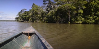 从亚马孙河上的独木舟上看，穿过雨林，秘鲁