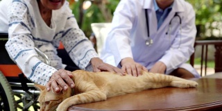 宠物治疗老年人。宠物使病人更健康、更快乐。