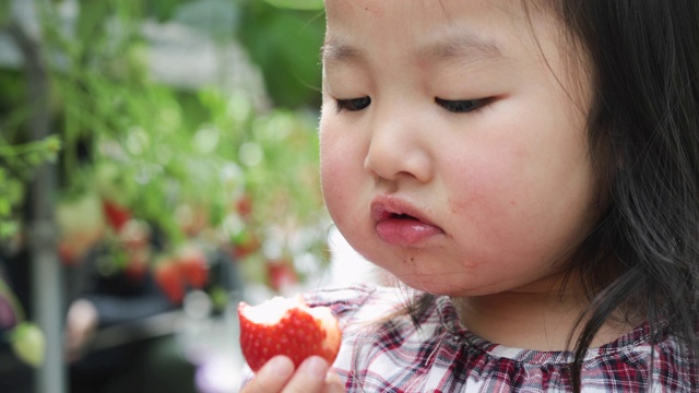 女孩在田里收割草莓
