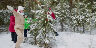 欢乐的家庭围绕着冷杉在冬天的森林里跳舞