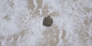 空中旋转镜头缩小了冬日雪地里一棵孤独的树的镜头。奥尔孔岛，胡日尔，伊尔库茨克，西伯利亚，俄罗斯。农村自然景观。