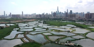 中国深圳美丽的天际线景观