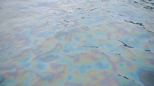 近距离观察香港海水溢油对环境的影响-特写镜头