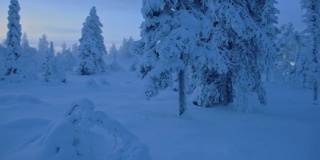 黄昏时分，芬兰拉普兰的雪峰林地全景