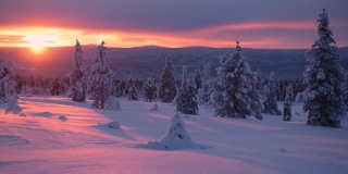芬兰拉普兰的雪野全景，在明亮的橙色日落