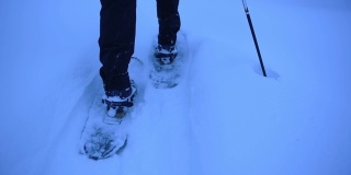 一名穿着双尖滑雪板、手持滑雪杖的游客在拉普兰的雪原上拖着脚。中枪