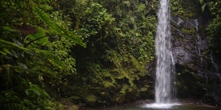 令人惊叹的瀑布被绿色植物包围的岩石在马什皮云森林在厄瓜多尔-中景