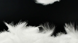 白色蓬松的羽毛落在黑色的背景上视频素材模板下载