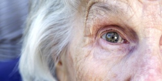 大眼睛美丽，尖锐，聪明的老年白人妇女独特的斑点漂亮的眼睛和脸在夏天的户外