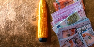 在一个俱乐部聚会上，橡胶玉米躺在一堆钱旁边。