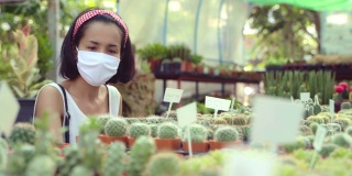 年轻的亚洲女人采摘仙人掌和多肉的绿色植物树植物学。绿色的概念。