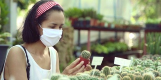 年轻的亚洲女人采摘仙人掌和多肉的绿色植物树植物学。绿色的概念。