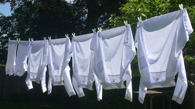 干净的白衬衫晾在晾衣绳上。