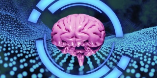 3D渲染现实大脑的粒子旋转与浅粉色的蓝色抽象HUD和粒子场背景