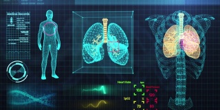 动画用户界面HUD与肋骨和肺部分析背景下的医疗技术网络未来概念