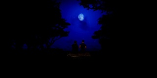 一对夫妇坐在森林里的岩石上，在满月和星空下，高清
