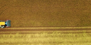 鸟瞰图联合收割机在稻田中的作业。