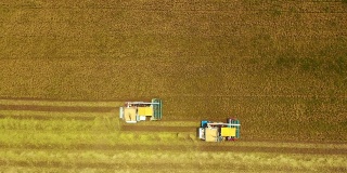 鸟瞰图联合收割机在稻田中的作业。
