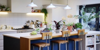 美丽的厨房内景岛柜台和家庭家庭植物-在慢镜头拍摄