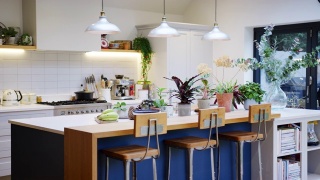 美丽的厨房内景岛柜台和家庭家庭植物-在慢镜头拍摄视频素材模板下载