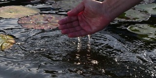 慢镜头女子的手从池塘里抓水