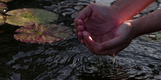 慢镜头男人的手从池塘里抓水