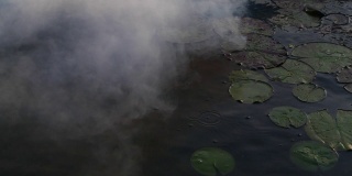 在池塘表面移动的雾的缓慢运动