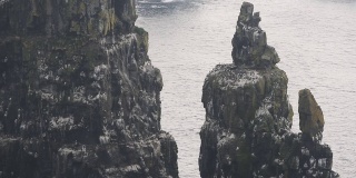 许多海鸟在悬崖上筑巢，拉斯林岛鸟类保护区，北爱尔兰。