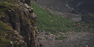 爱尔兰拉斯林岛的悬崖上海鸟的全景