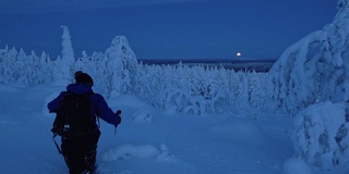 在拉普兰的午夜，穿着蓝色冬衣的男人走在齐膝深的积雪和冰冻的针叶林中。采用针