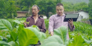 农民使用数字平板电脑在农场