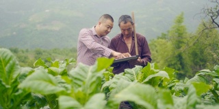 农民使用数字平板电脑在农场