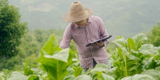 农民使用数字平板电脑在农场