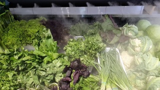 新鲜蔬菜在商店的冰箱里视频素材模板下载