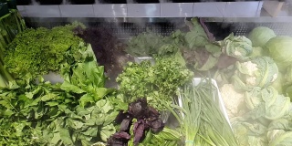 新鲜蔬菜在商店的冰箱里