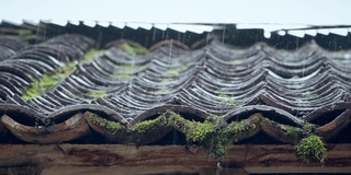 雨天的场景