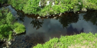 夏日里，无人机沿着苏格兰一条小河飞行时的鸟瞰图