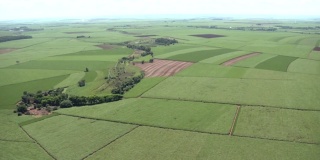 巴西甘蔗种植园的航拍图像。