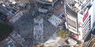 东京涩谷十字路口鸟瞰图