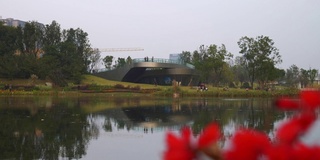 晚上成都市中心公园，湖，花，海岸线，全景4k中国