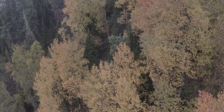 阿尔泰自然保护区鸟瞰图
