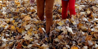 秋天，两个女孩在公园里散步。两个孩子的腿在踢覆盖在地上的黄色叶子的特写。地毯的树叶。200帧/秒的慢动作