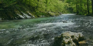 斯洛文尼亚朱利安阿尔卑斯山，布莱德附近的Vintgar峡谷，拉多夫纳河湍急清澈的河水。