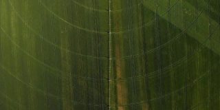 农业鸟瞰图与圆形作物灌溉