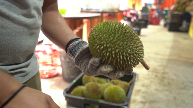 小贩在马来西亚市场商店打开新鲜榴莲