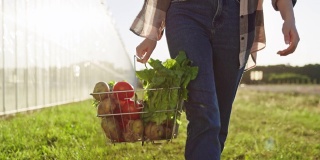 一个不认识的女人拿着一个装满新鲜蔬菜的购物篮子沿着温室走
